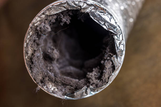 Best Ductwork Cleaning Services  in Forest City, FL