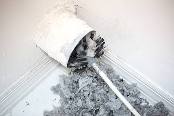 Best HVAC Duct Inspection Services  in Forest City, FL